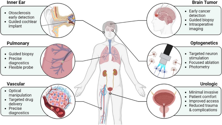 Biomedical applications of lensless fiber endomicroscopy