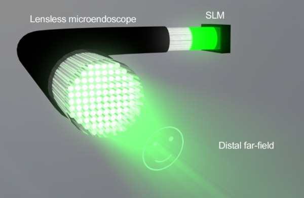 Lensless microendoscope concept with distal far-field generation