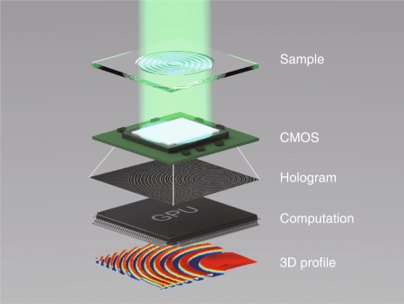 Quantitative phase imaging computational pipeline